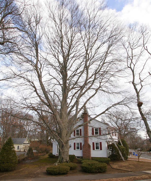 26 Morrison Road Wakefield, MA 01880 - Photo 30 of 30 Gallery Image 30