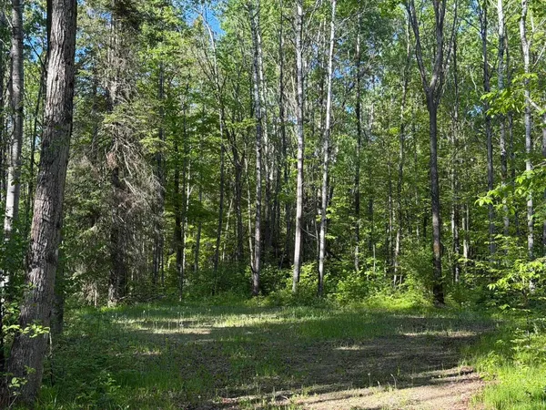 $54,500 | Dream Lake Road, Unit 2, Long Lake, WI 54542
