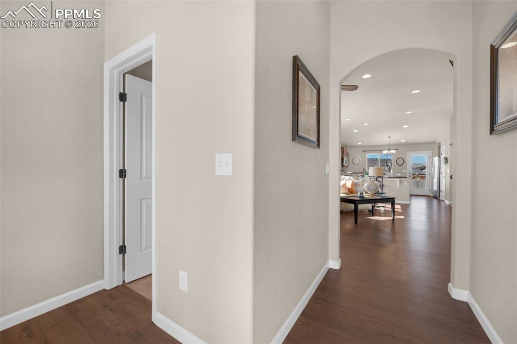 4411 Allenite Point Colorado Springs, CO 80938 - Photo 16 of 45