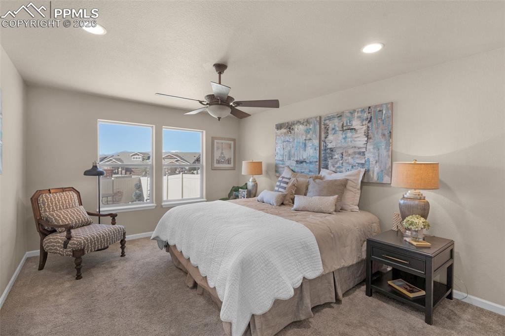 4411 Allenite Point Colorado Springs, CO 80938 - Photo 19 of 45