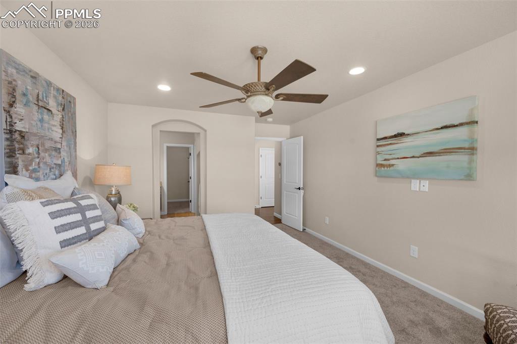 4411 Allenite Point Colorado Springs, CO 80938 - Photo 21 of 45