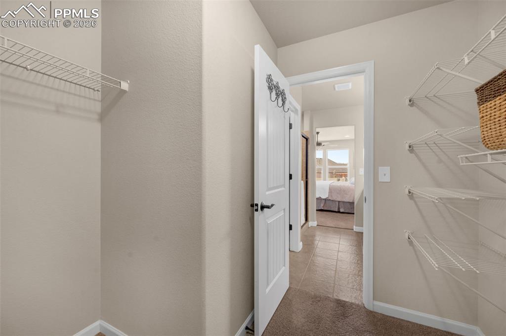 4411 Allenite Point Colorado Springs, CO 80938 - Photo 25 of 45