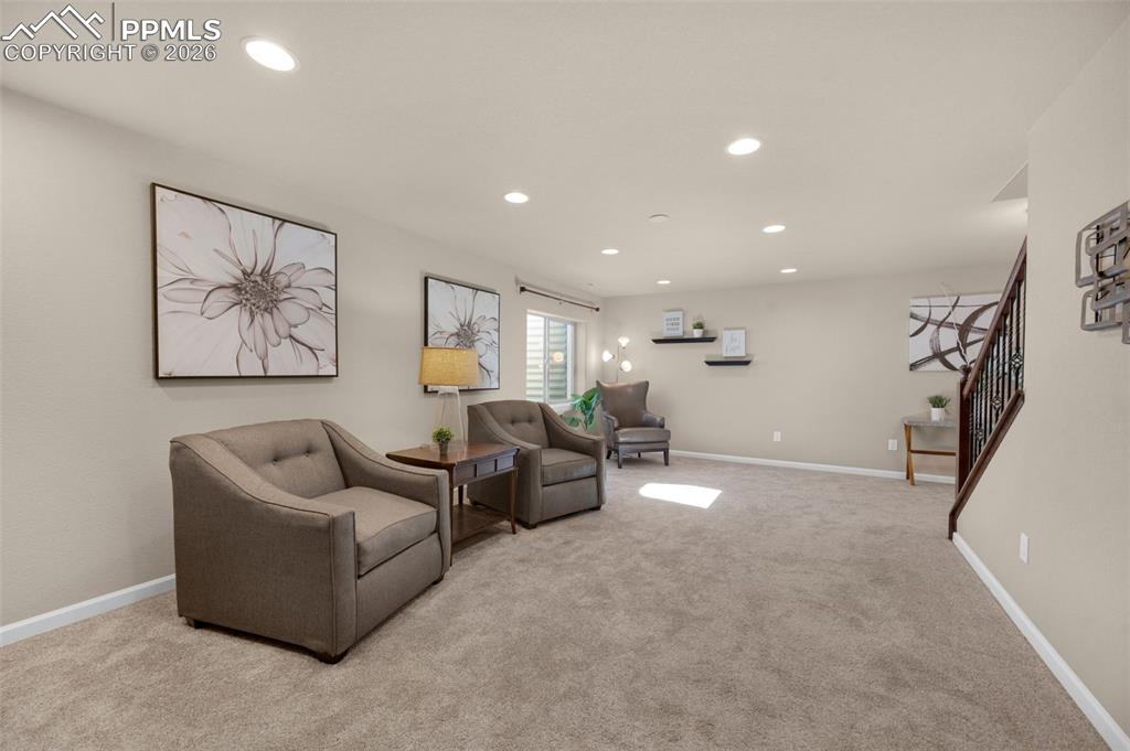 4411 Allenite Point Colorado Springs, CO 80938 - Photo 29 of 45