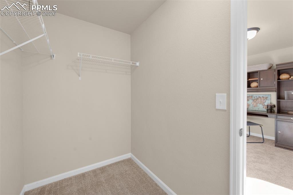 4411 Allenite Point Colorado Springs, CO 80938 - Photo 33 of 45