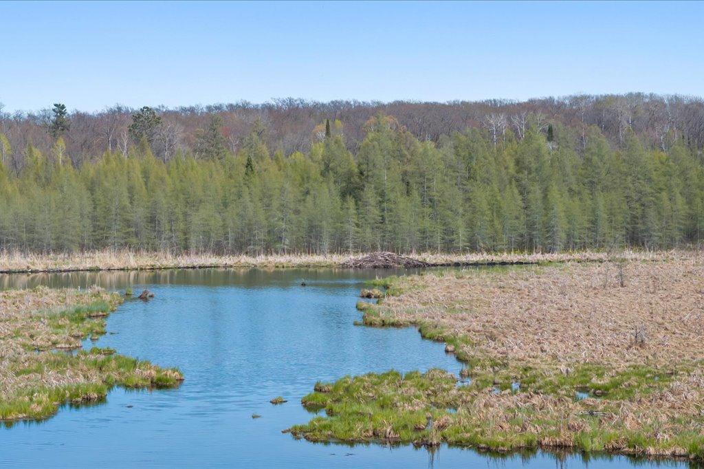 9382 County Road 8 Brainerd, MN 56401 - Photo 16 of 108
