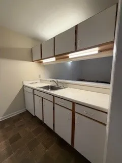 $215,000 | 102 Calhoun Street, Unit 221, Clemson, SC 29631