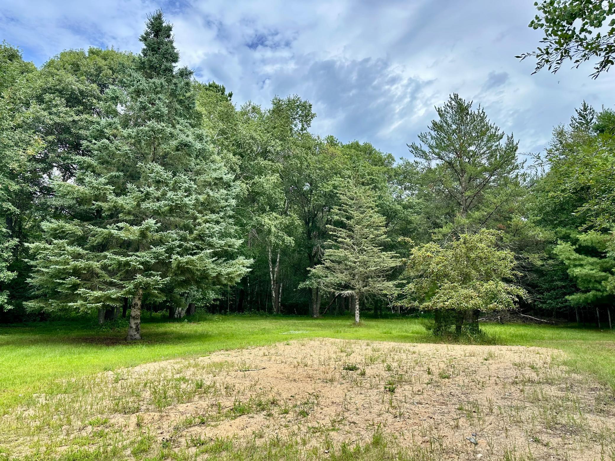 21920 County 2 Nevis, MN 56467 - Photo 11 of 32