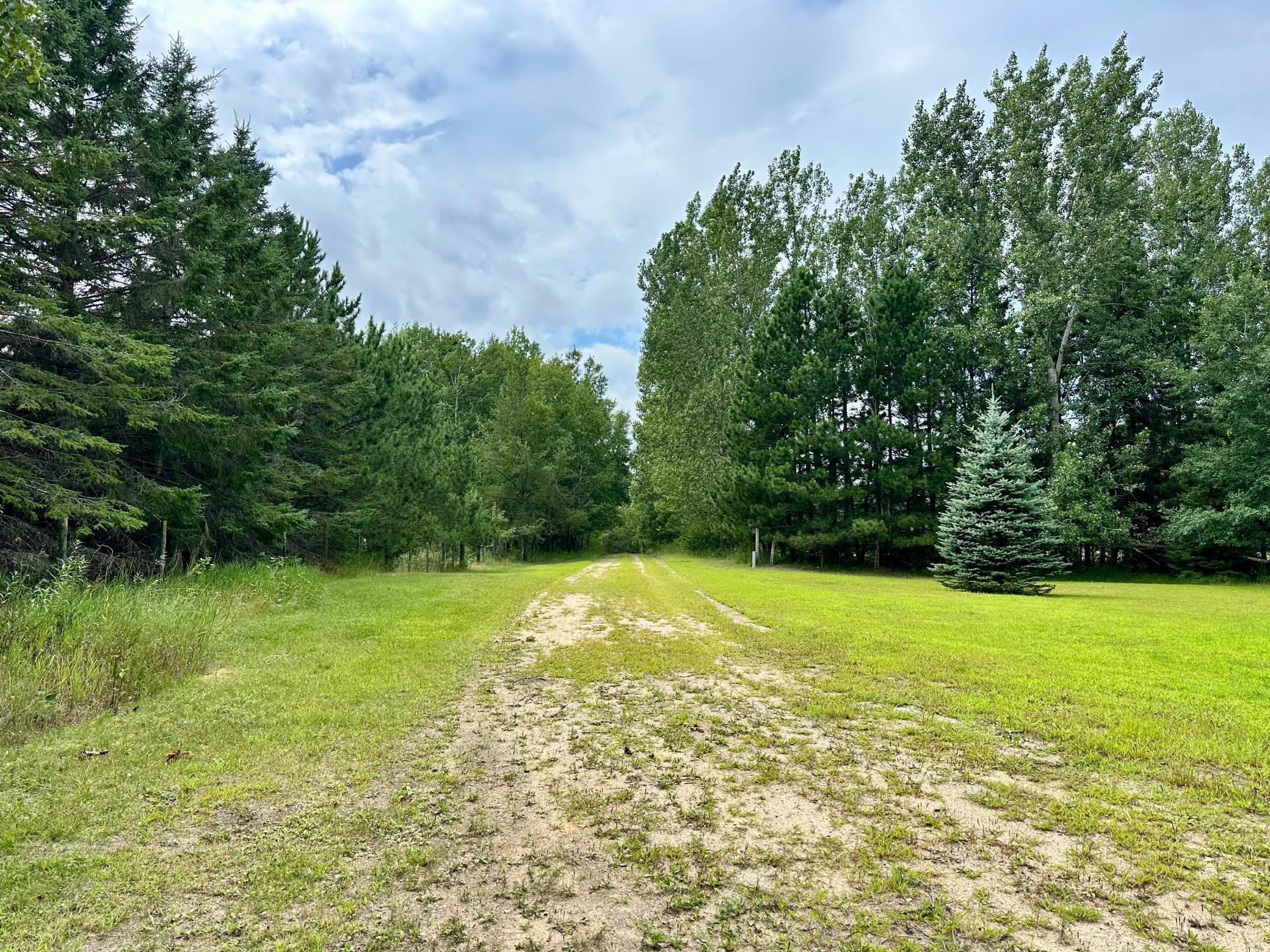 21920 County 2 Nevis, MN 56467 - Photo 10 of 32