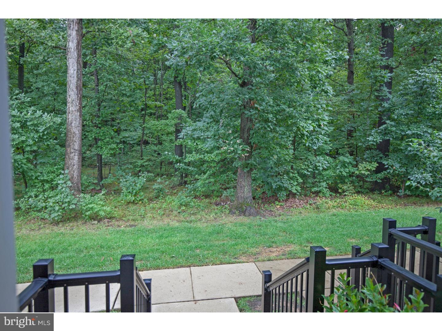 3752 William Daves Road, Unit 13 Doylestown, PA 18902 - Photo 4 of 23 View from Front Door