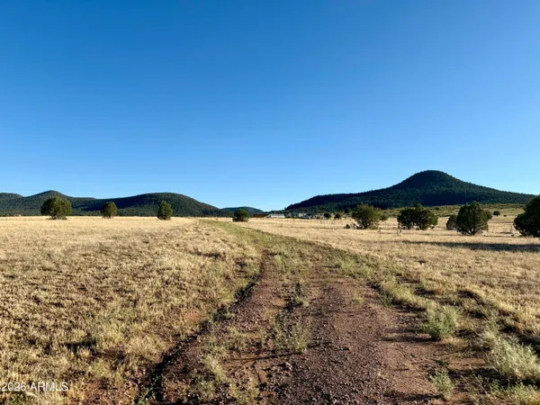 $225,000 | 228 South B S Dutchmans Trail, Young, AZ 85554