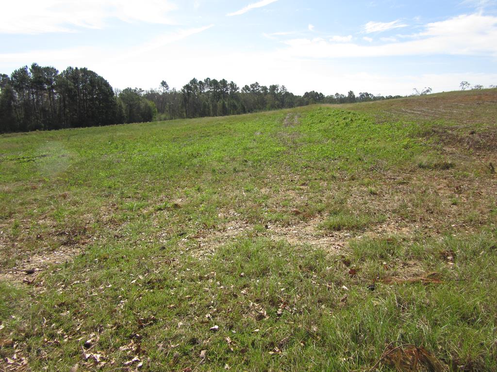 0 South County Road Ashford, AL 36312 - Photo 1 of 1