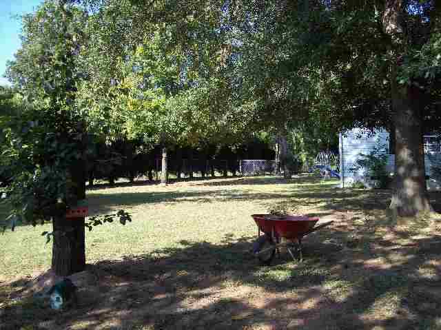 9559 Augusta Road Pelzer, SC 29669 - Photo 3 of 9