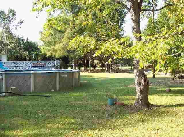 9559 Augusta Road Pelzer, SC 29669 - Photo 4 of 9