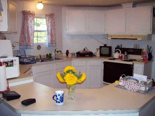 9559 Augusta Road Pelzer, SC 29669 - Photo 5 of 9