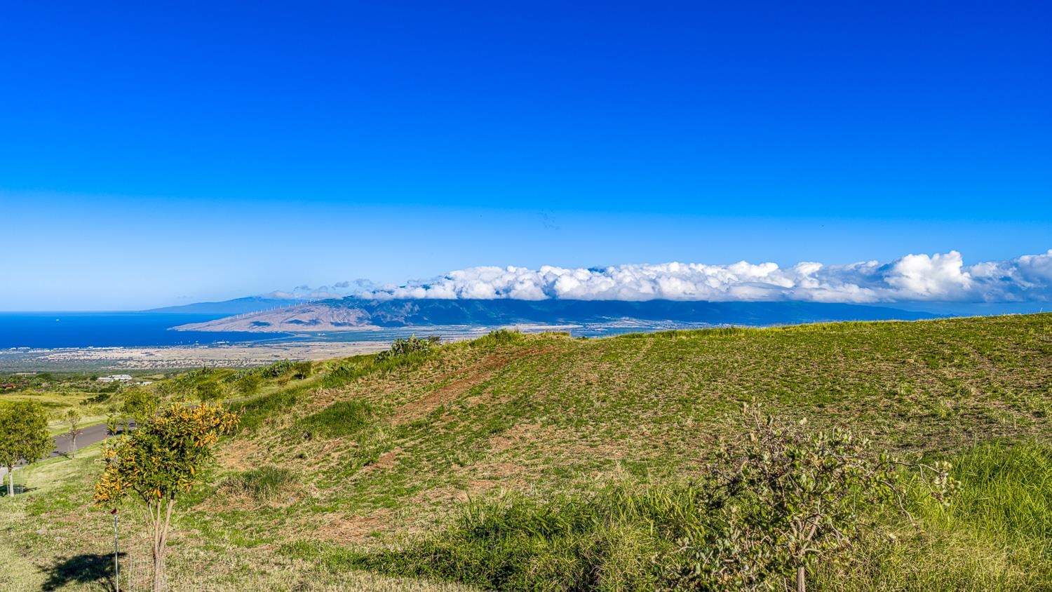 240 Kula Io Road Kula, HI 96790 - Photo 9 of 26