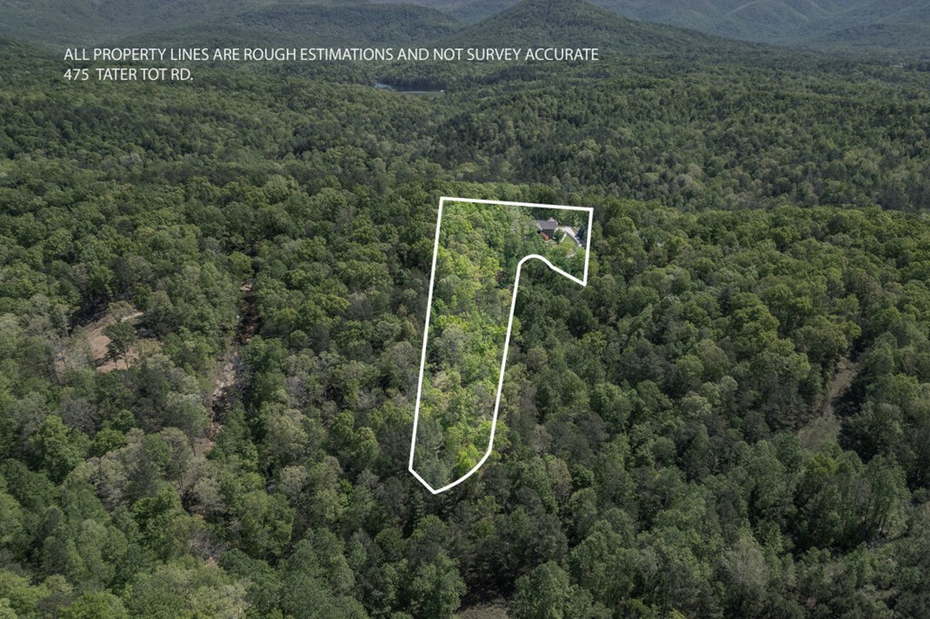 475 Tater Tot Road Jasper, GA 30143 - Photo 80 of 80