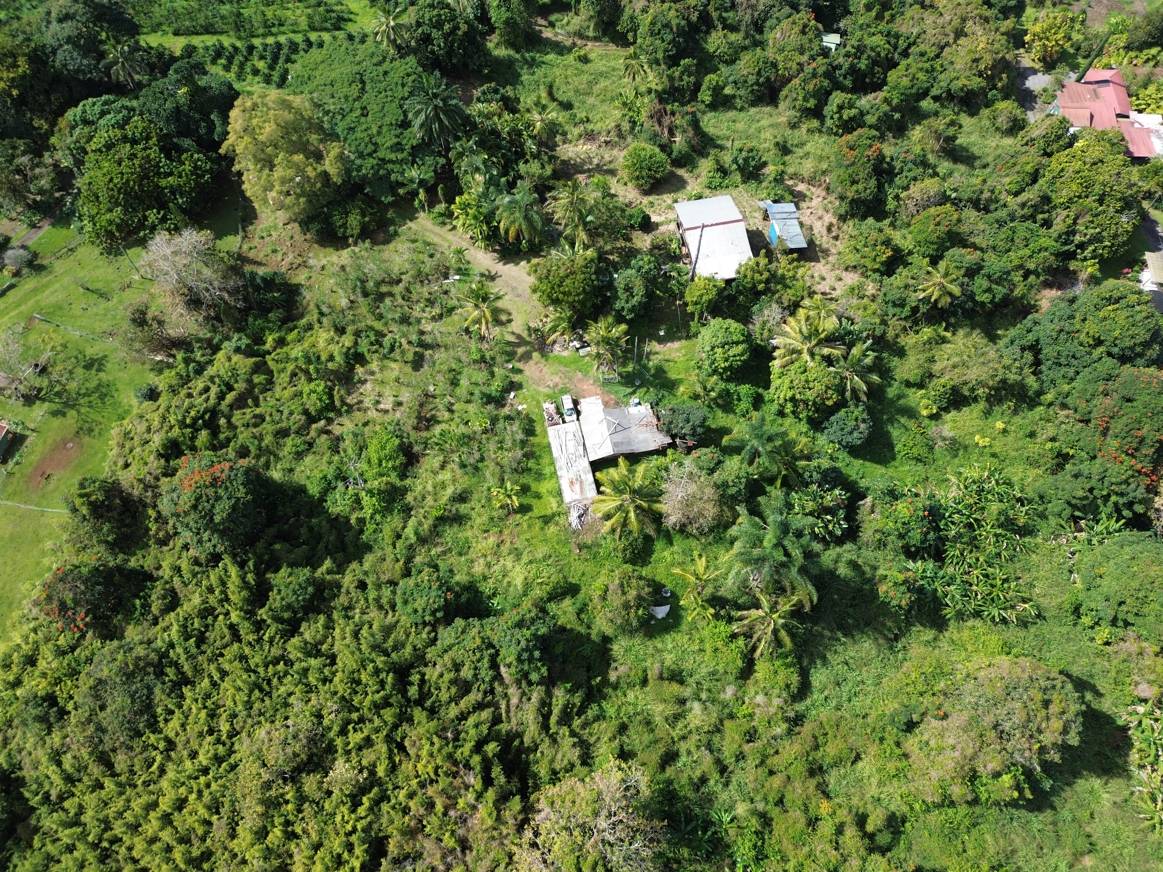 82-1161 Kinue Road Captain Cook, HI 96704 - Photo 18 of 24