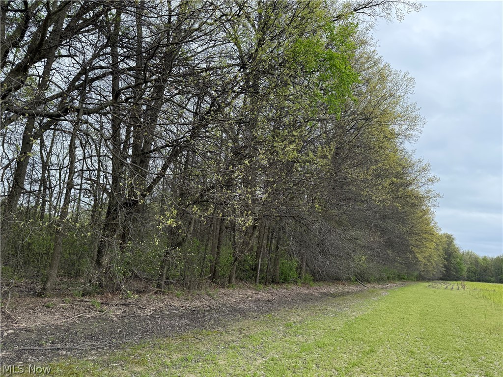 V/l Donley Road Middlefield, OH 44062 - Photo 29 of 30