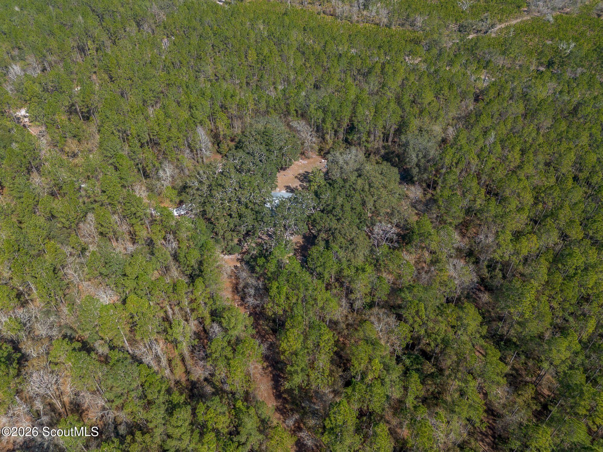 12321 Highway 185 St. George, GA 31562 - Photo 37 of 57 52-AC-SR-185-ST-GEORGE-GA-6