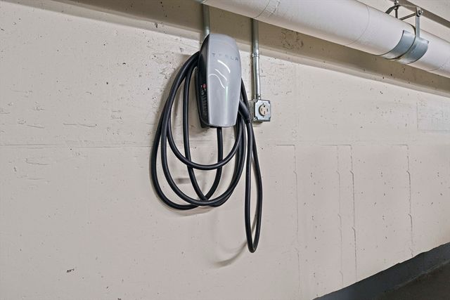 a view of a yard with plants