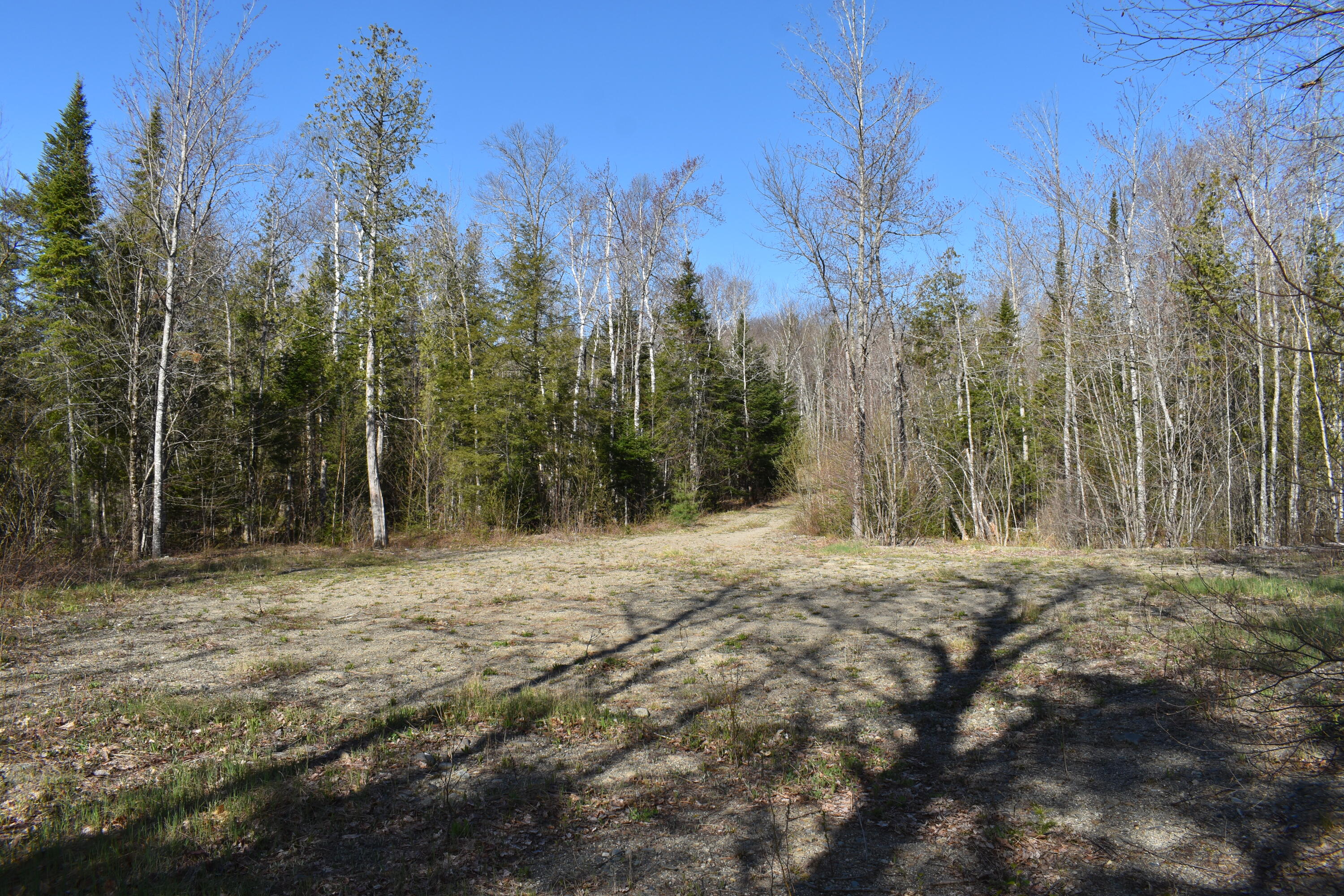 15 Loop Road Lincoln, ME 04457 - Photo 37 of 51 DSC_0123