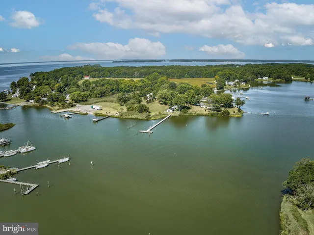 a view of a lake with a city