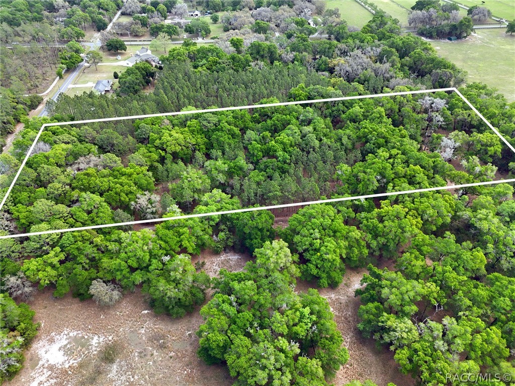 8248 East Fort Cooper Road Inverness, FL 34450 - Photo 7 of 9