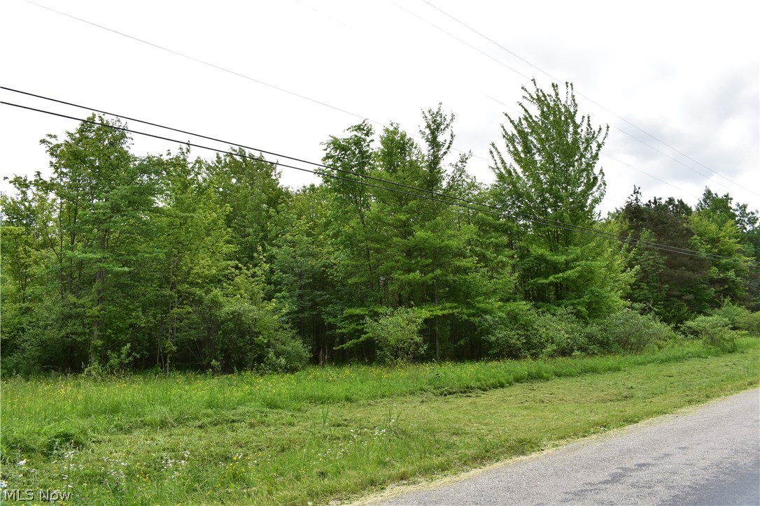 Forman Road Austinburg, OH 44010 - Photo 8 of 21 Gallery Image 8