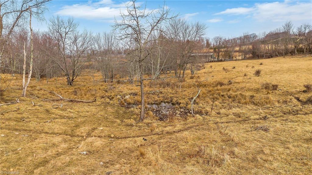 Tbd Pine Swamp Road Sparta, NC 28675 - Photo 15 of 27