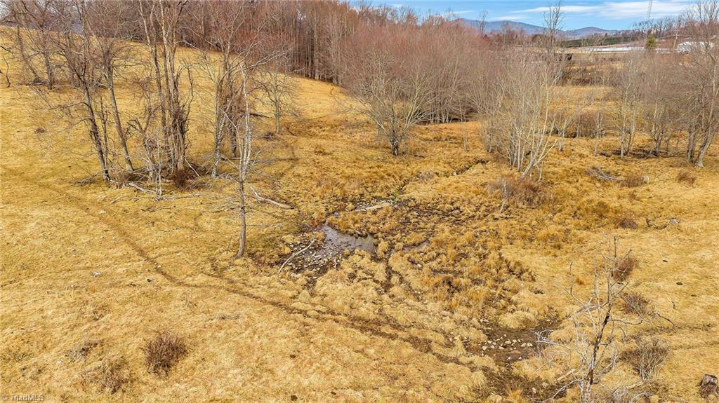 Tbd Pine Swamp Road Sparta, NC 28675 - Photo 16 of 27