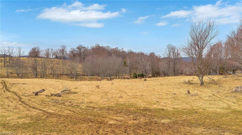 Tbd Pine Swamp Road Sparta, NC 28675 - Photo 24 of 27