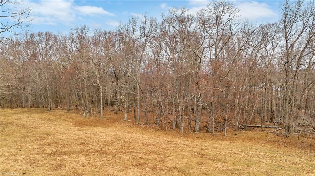 Tbd Pine Swamp Road Sparta, NC 28675 - Photo 9 of 27