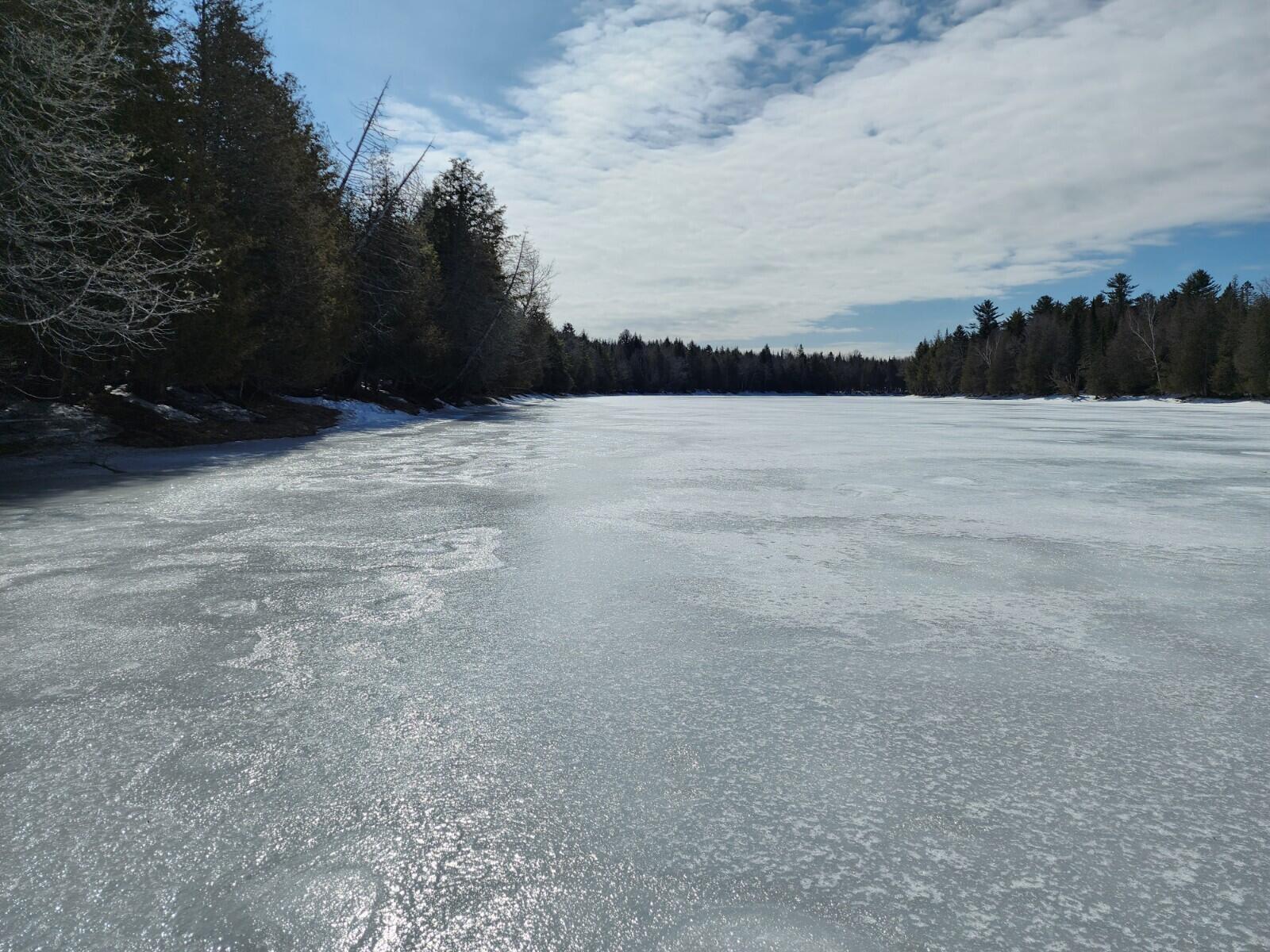 Lot 2 Haynes Road Wytopitlock, ME 04497 - Photo 15 of 16 20230320_104418