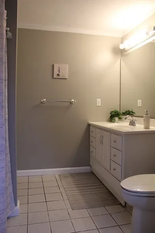 a bathroom with a toilet sink and vanity