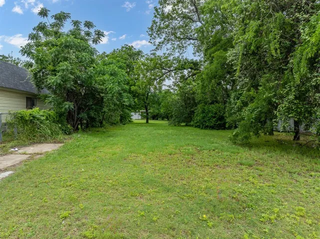 a view of a green yard
