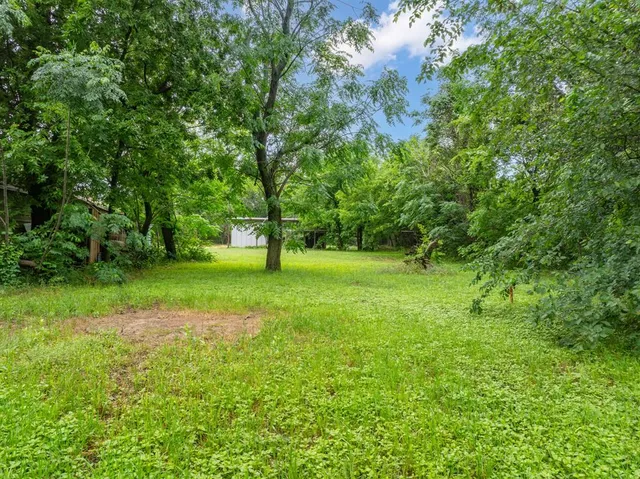 a view of a trees with a yard