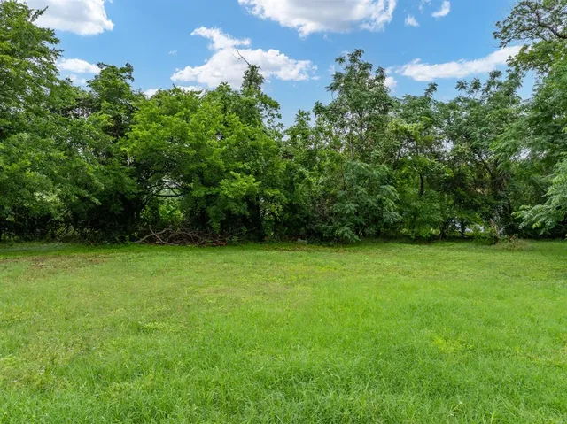 a view of a field of grass and trees