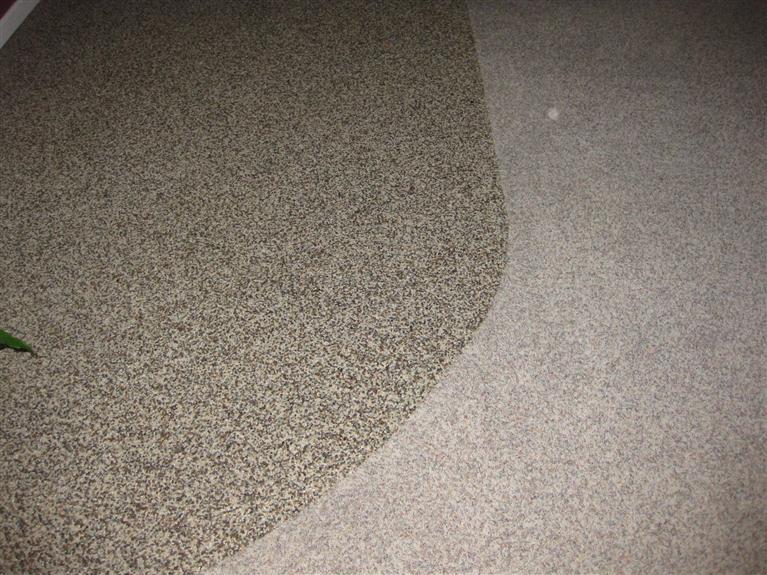 2040 Cypress Street Selma, CA 93662 - Photo 30 of 32 pebble tec floor and carpet