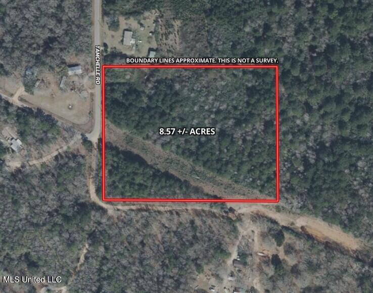 Tamchelle Road Lumberton, MS 39455 - Photo 24 of 24 Boundary