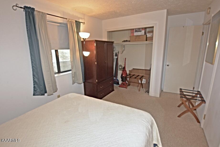 616 Turkey Nest Road, Unit 114 Gatlinburg, TN 37738 - Photo 20 of 27 T