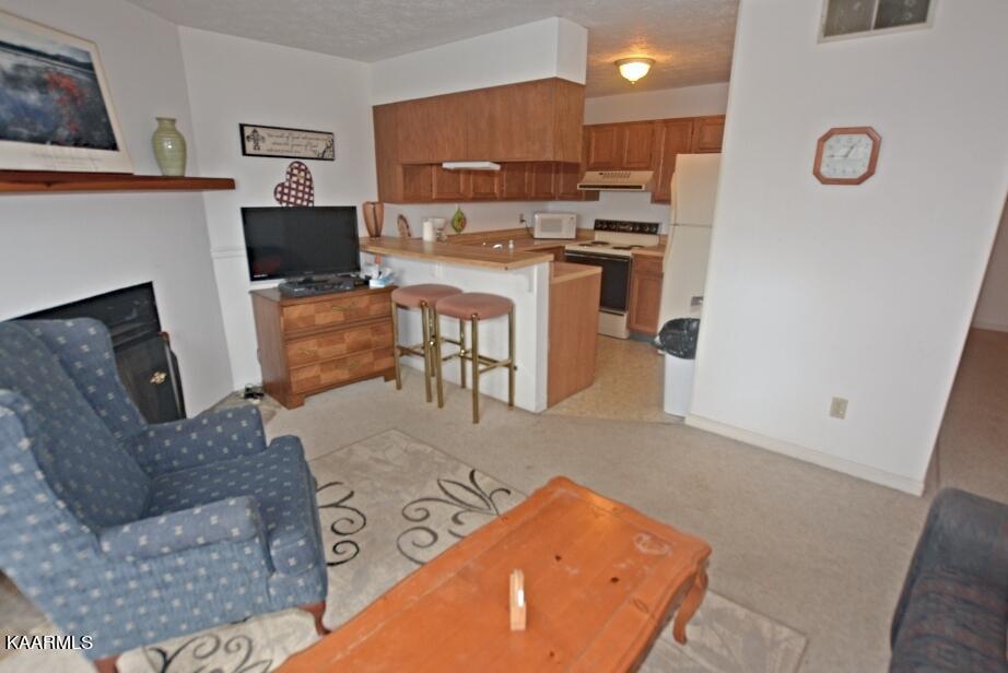 616 Turkey Nest Road, Unit 114 Gatlinburg, TN 37738 - Photo 5 of 27 E