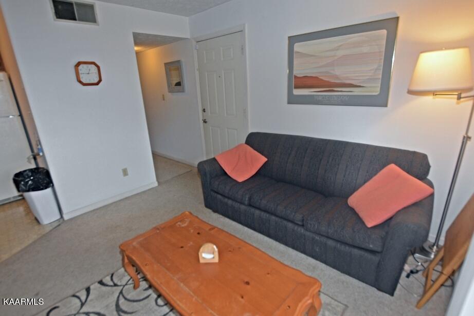 616 Turkey Nest Road, Unit 114 Gatlinburg, TN 37738 - Photo 6 of 27 F