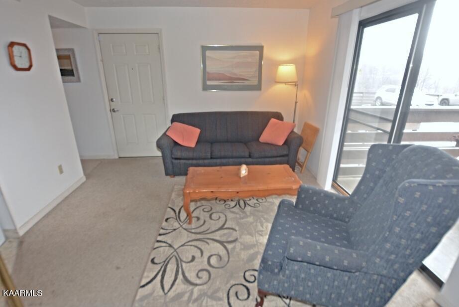 616 Turkey Nest Road, Unit 114 Gatlinburg, TN 37738 - Photo 10 of 27 J