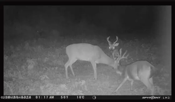 $100,000 | Old Twin Lake Road, Redwood, MS 39156