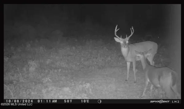 $100,000 | Old Twin Lake Road, Redwood, MS 39156