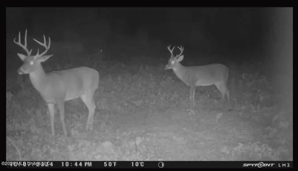 $100,000 | Old Twin Lake Road, Redwood, MS 39156