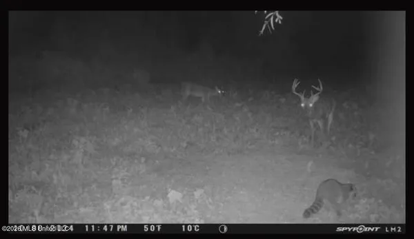 $100,000 | Old Twin Lake Road, Redwood, MS 39156