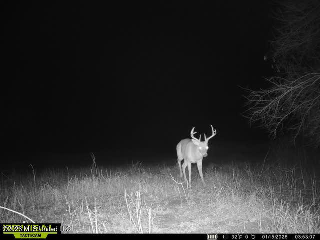 Old Twin Lake Road Redwood, MS 39156 - Photo 18 of 20 rw24