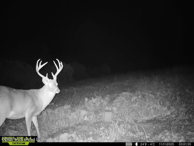 Old Twin Lake Road Redwood, MS 39156 - Photo 19 of 20 rw23