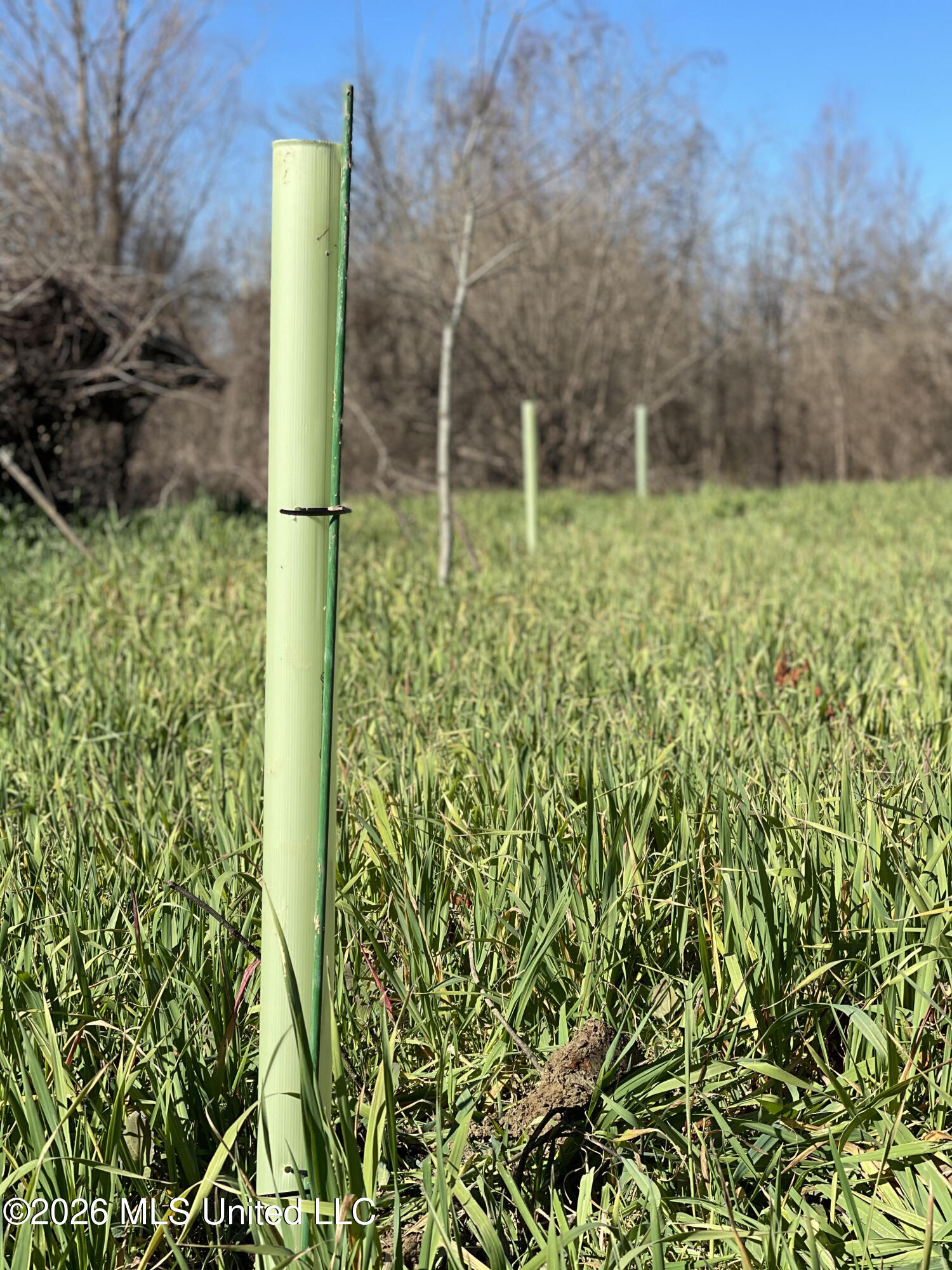 Old Twin Lake Road Redwood, MS 39156 - Photo 2 of 20 rw5